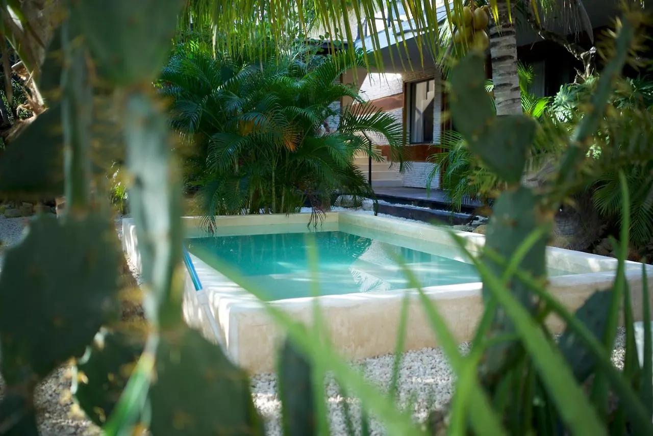 Hotel La Casa De Mia Tulum 2*,