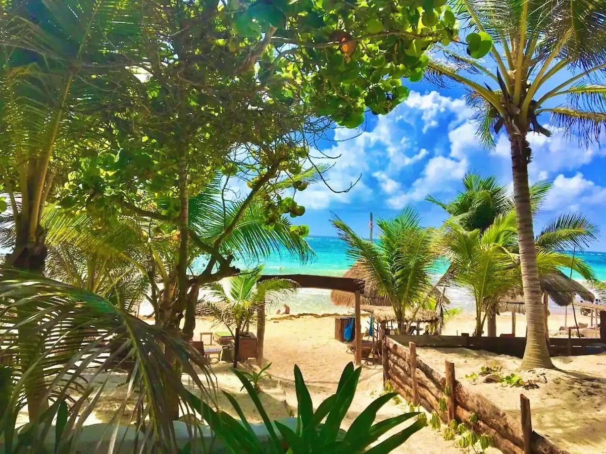 Hotel La Casa De Mia Tulum